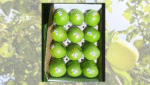 Granny Smith Apple