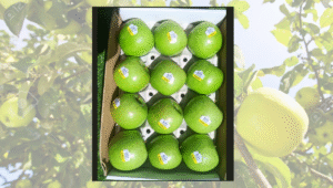 Granny Smith Apple