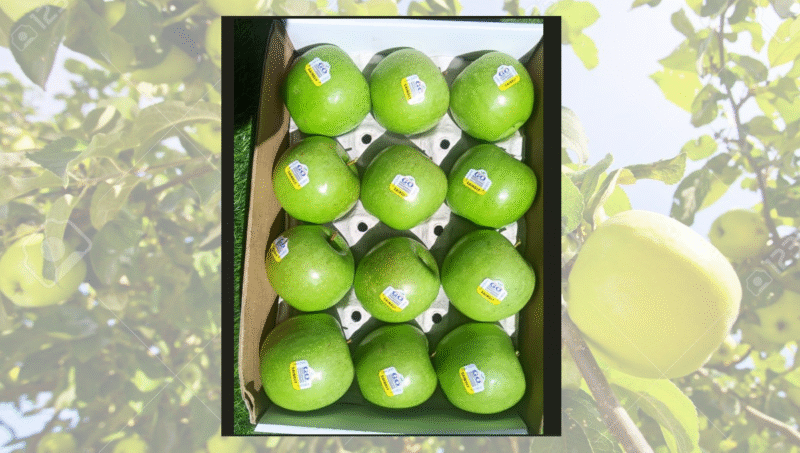 Granny Smith Apple